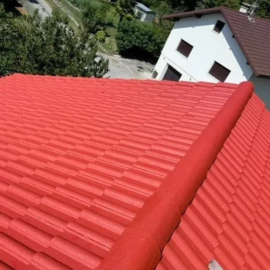 Toit rouge nettoyage